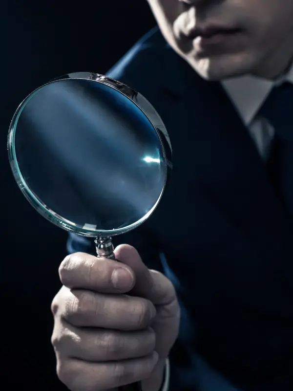 Professional Private Investigators Professional Private Investigators